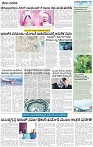 25_page-0007
